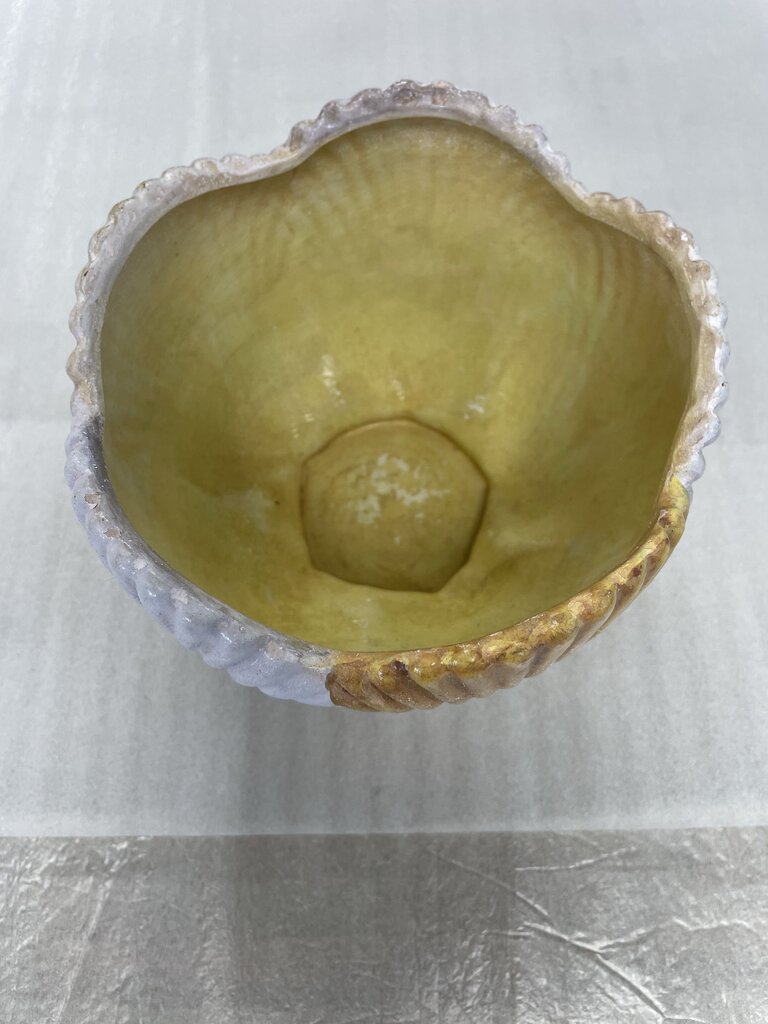 SHELL BOWL
