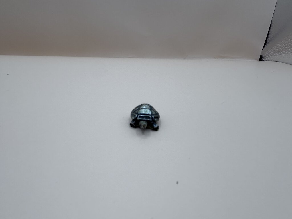 MINI STERLING TURTLE