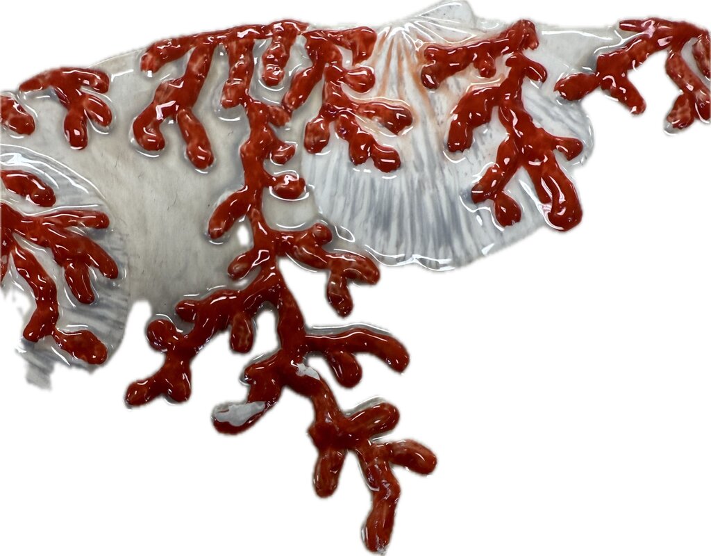 CORAL AMBIANCE COLLECTION PLATE SET OF 2