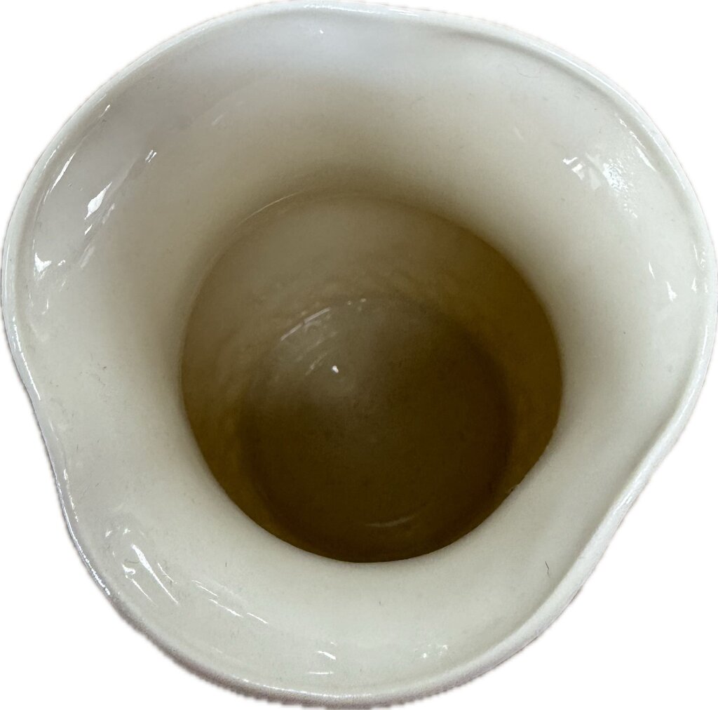 BELLEEK VASE
