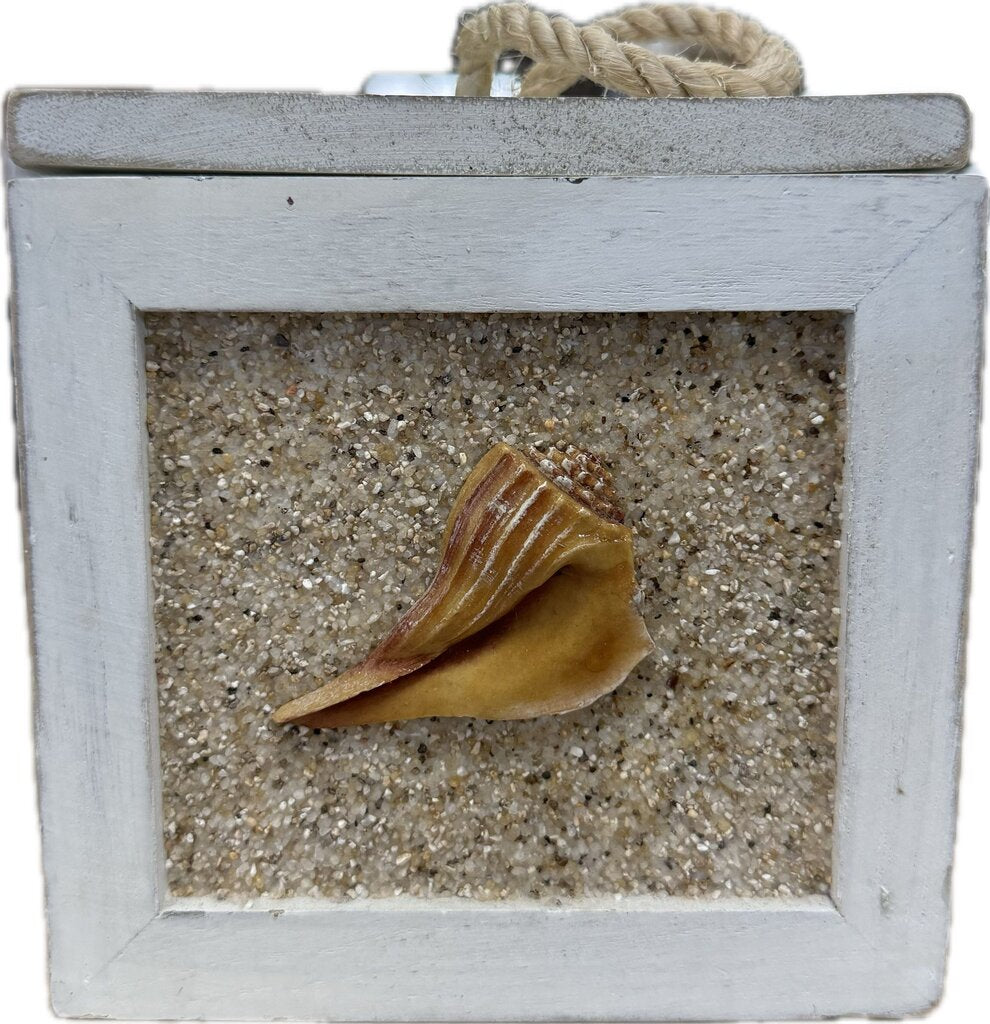 SAND AND SHELL BOX WITH LID