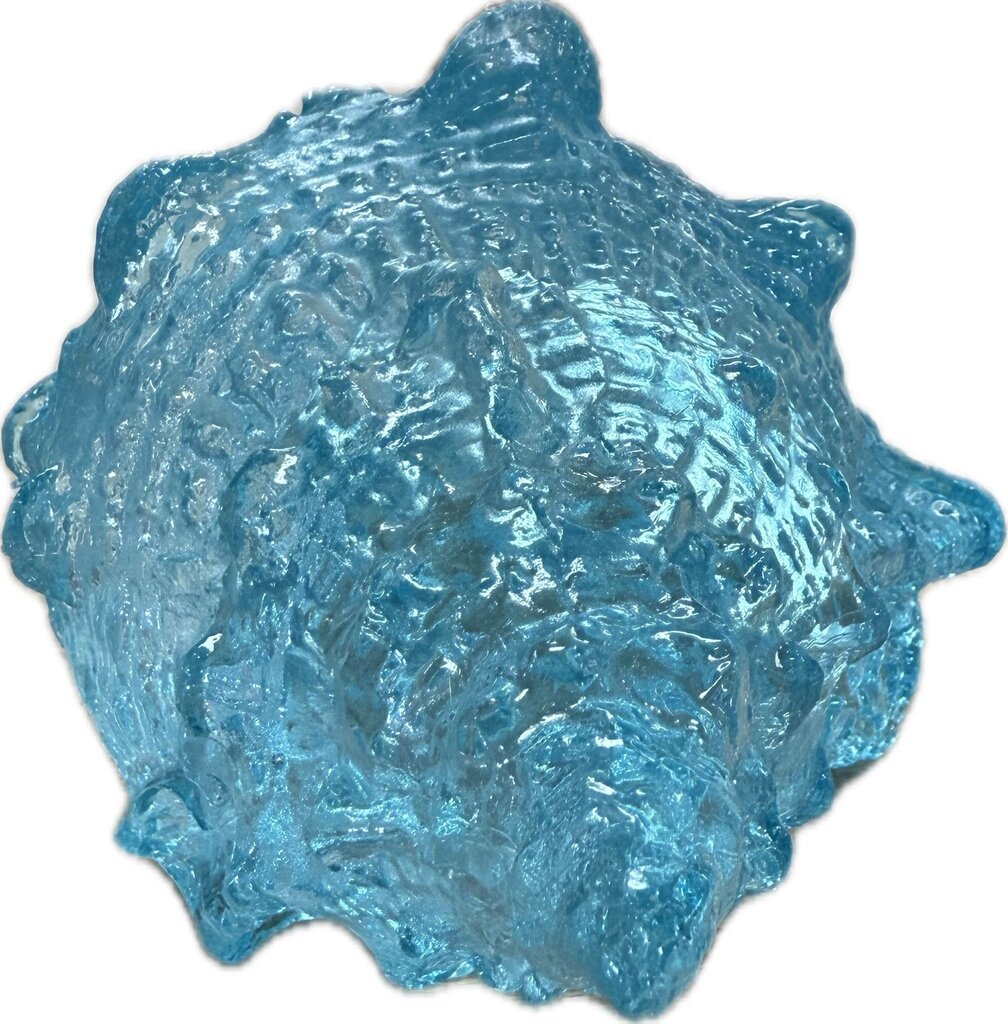 TEAL RESIN CONCH SHELL