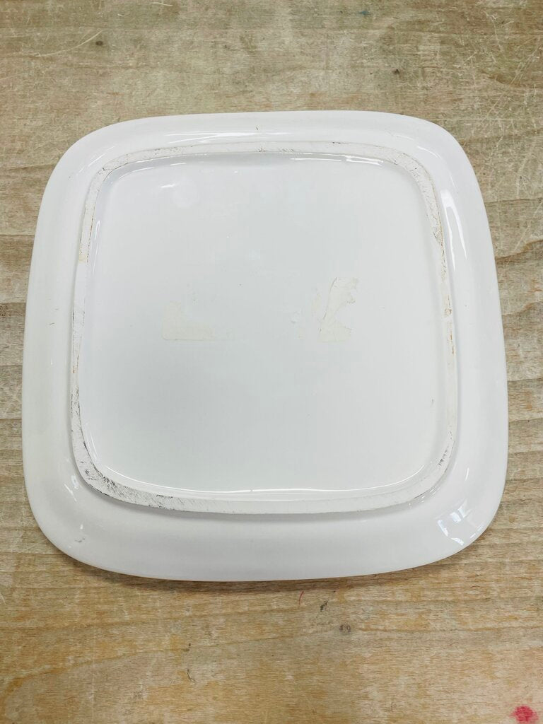 PARROT PLATE