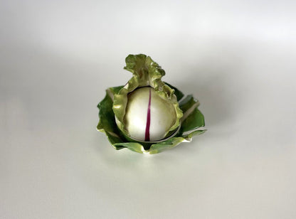 DIDIER GARDILLOU PORCELAIN RADDISH FORM BOX