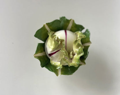 DIDIER GARDILLOU PORCELAIN RADDISH FORM BOX