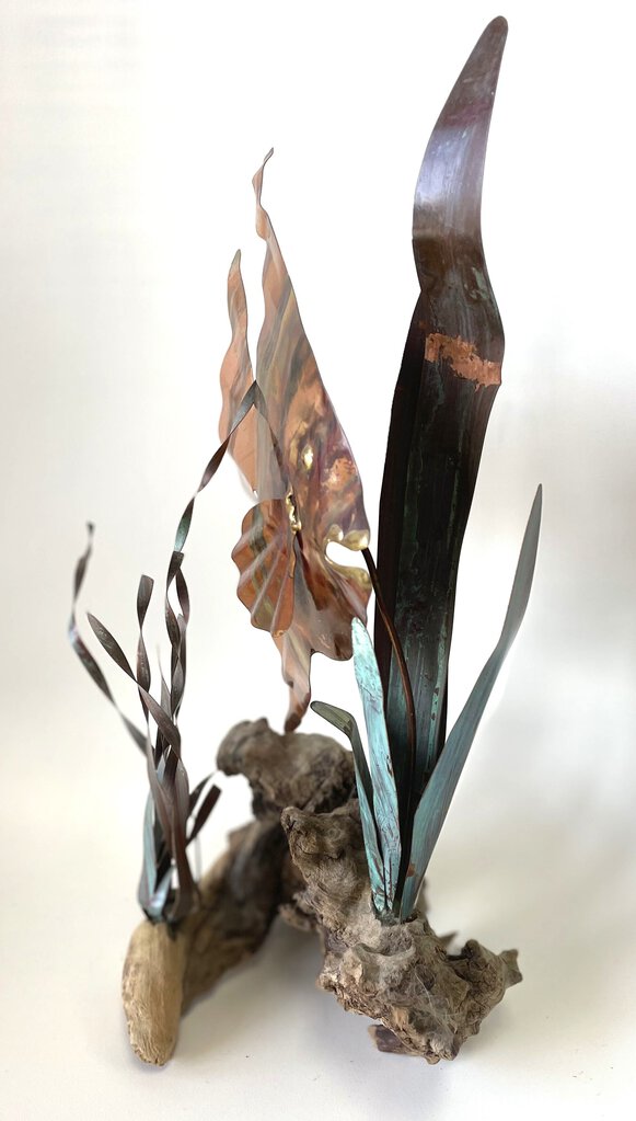 COPPER FISH AND DRIFTWOOD