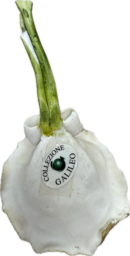 COLLEZIONE GALILEO PORCELAIN FLOWER BOUQUET AS IS