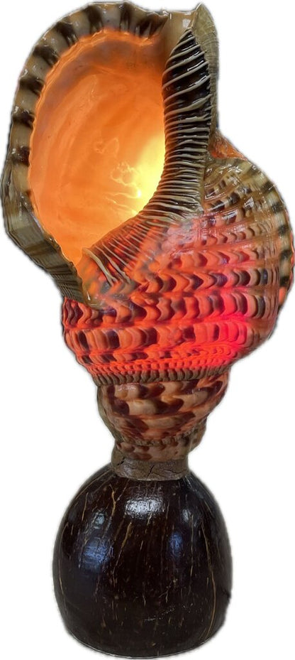 RARE VINTAGE TRITON CONCH SHELL LAMP