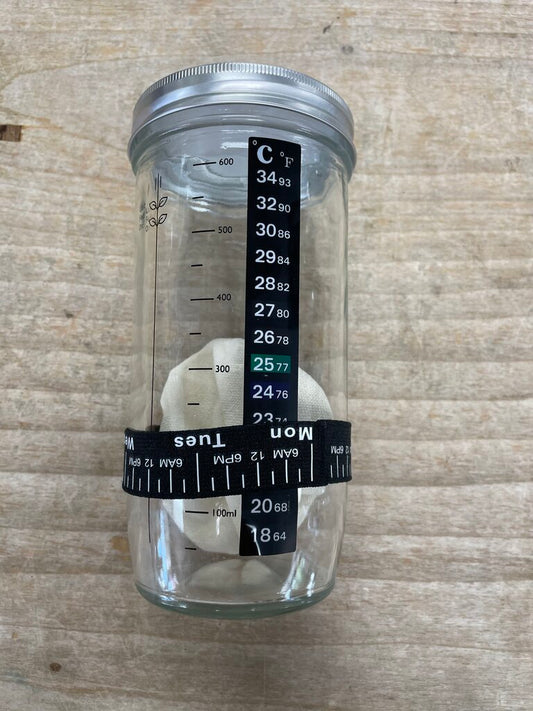 SOURDOUGH STARTER