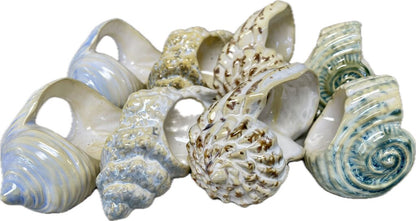 CERAMIC SEASHELL NAPKIN RINGS SET OF 8