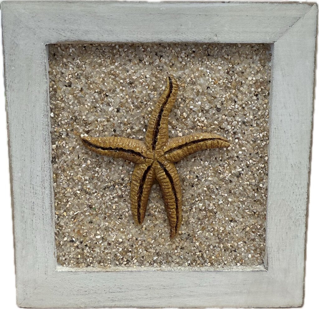 SAND AND STARFISH TISSUE BOX COVER