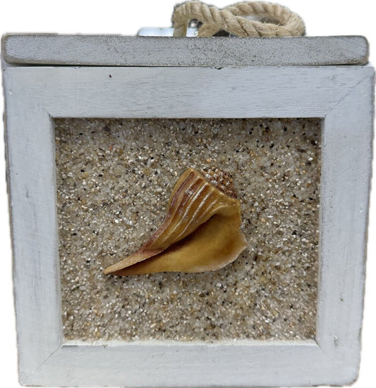 SAND AND SHELL BOX WITH LID
