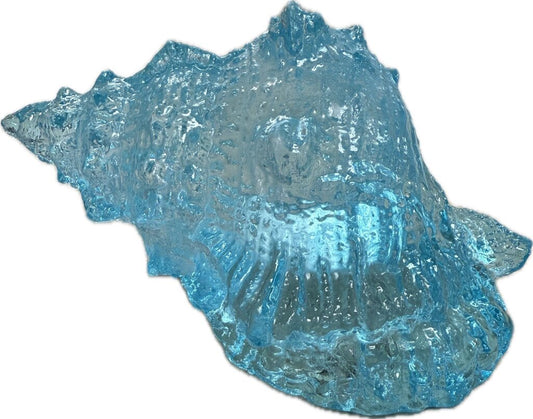 TEAL RESIN CONCH SHELL