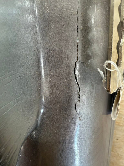 26 IN REPELICIA SHARK MOUNT