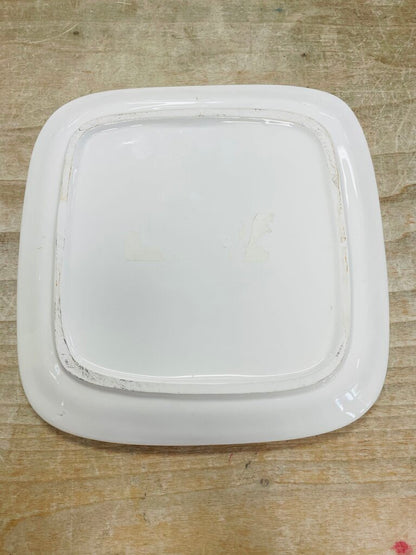 PARROT PLATE