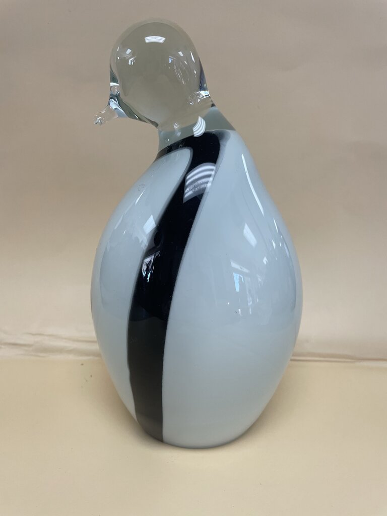 GLASS PENGUIN