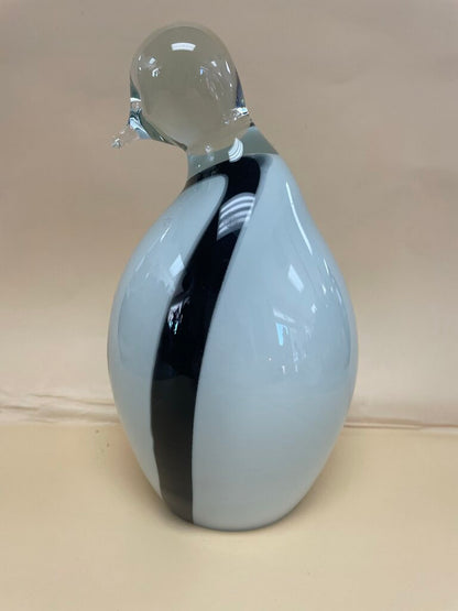 GLASS PENGUIN