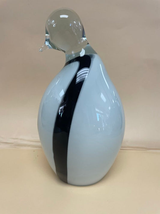 GLASS PENGUIN