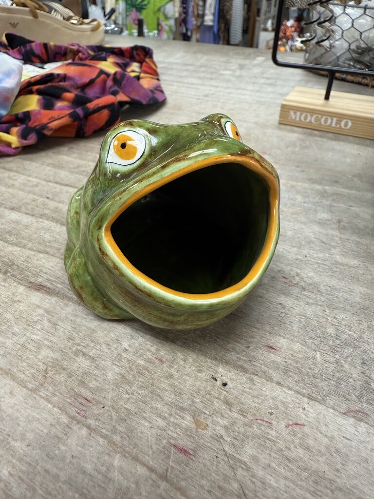 CERAMIC FROG WITH OPEN MOUTH SPONGE HOLDER