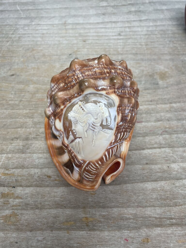 CAMEO CARVED CONCH SHELL