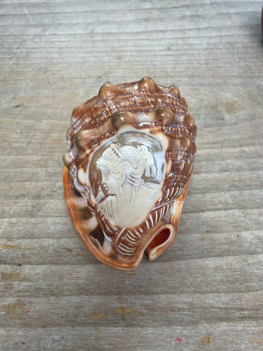 CAMEO CARVED CONCH SHELL