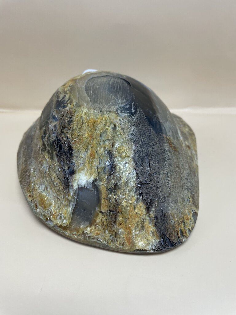 HORN BOWL 9"x6.5"