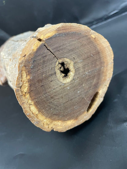 CARVED WOODEN PELICAN