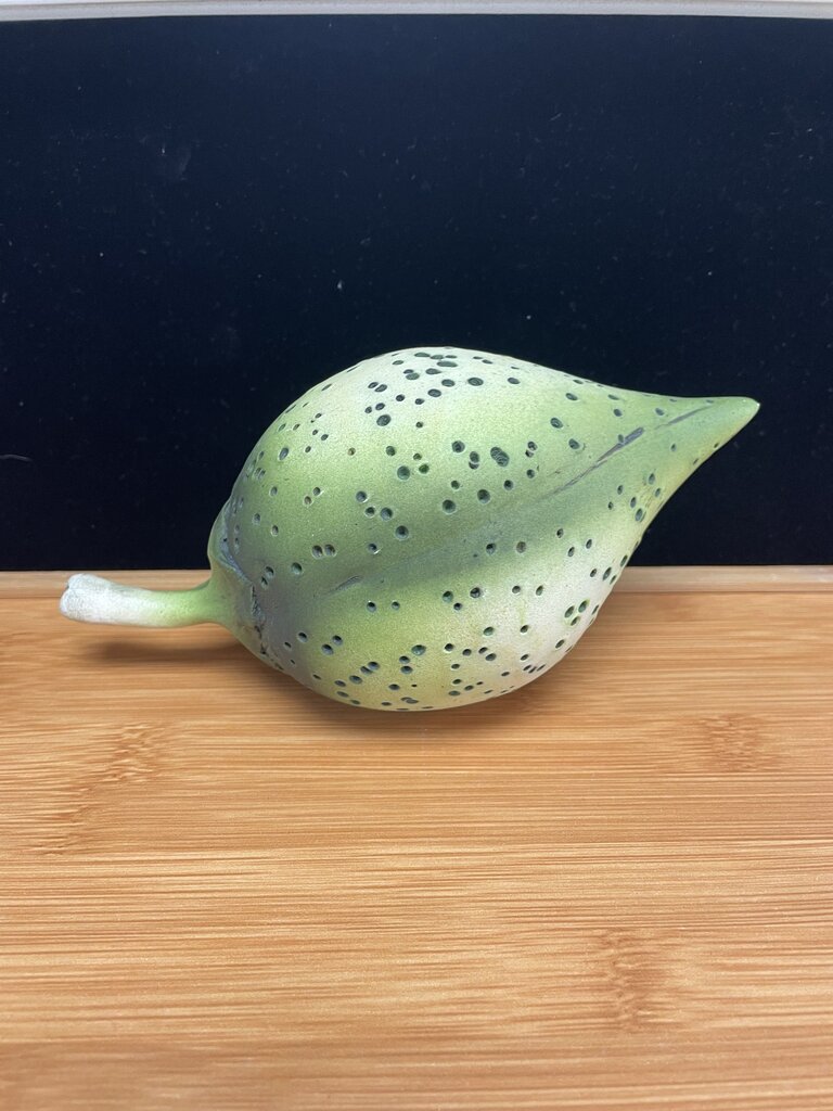 ANDY ROGERS CERAMICS WALL SEED 8"