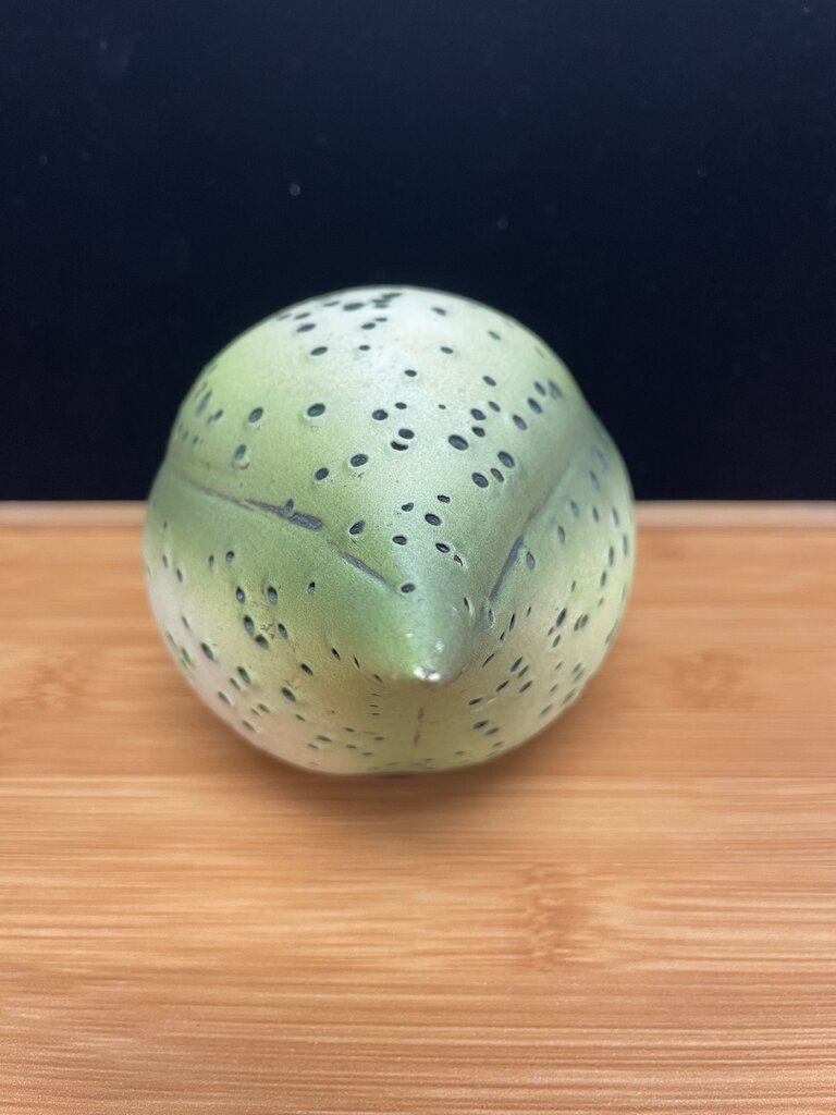 ANDY ROGERS CERAMICS WALL SEED 8"