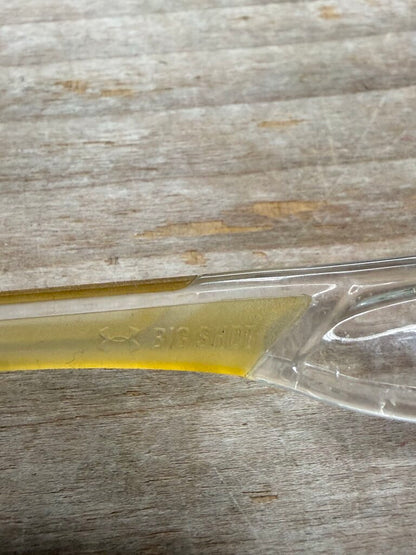 BLUE UA CLEAR SUN GLASSES