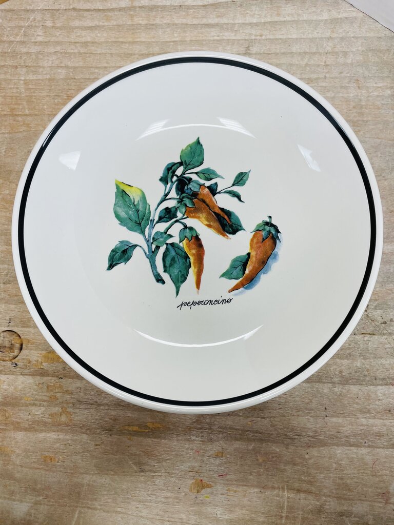 OVER AND BACK SET OF 4 VEGGIE BOWLS 9.5"