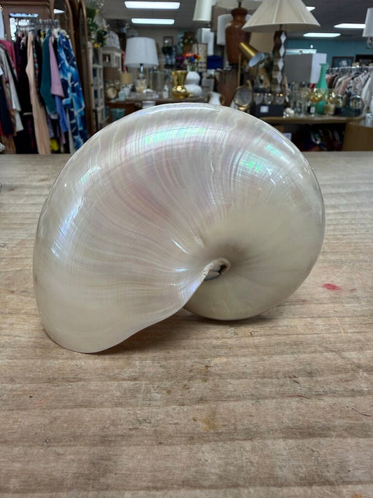 PEARLIZED NAUTILUS SHELL