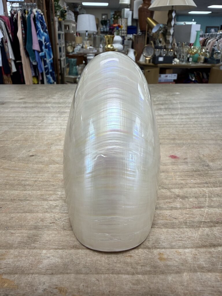 PEARLIZED NAUTILUS SHELL