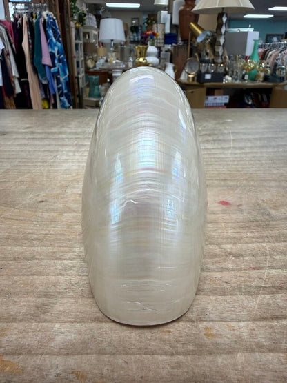 PEARLIZED NAUTILUS SHELL