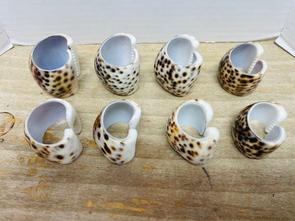 SET OF 8 SHELL NAPKIN RINGS