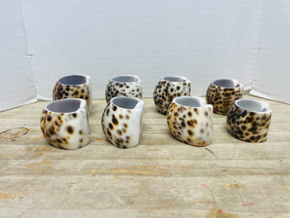 SET OF 8 SHELL NAPKIN RINGS