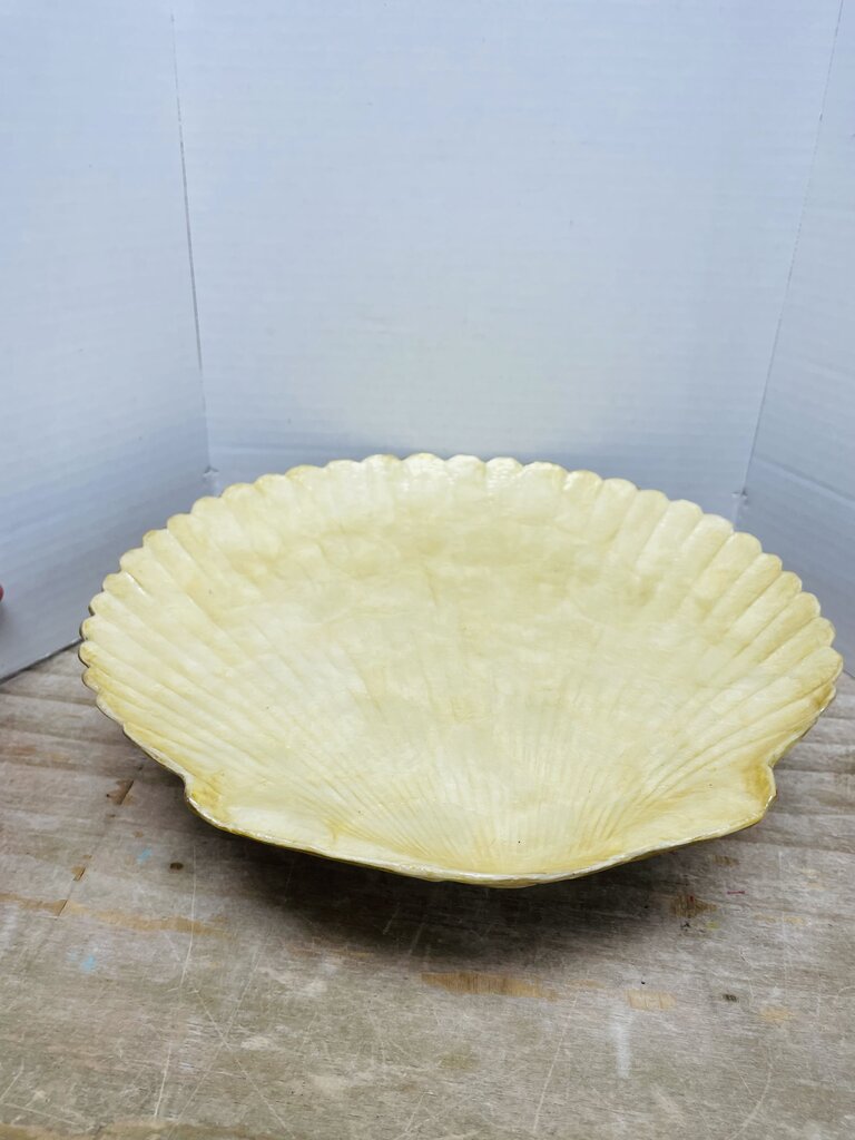 ZODAX SHELL TRAY