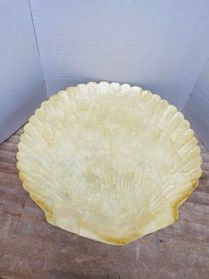 ZODAX SHELL TRAY