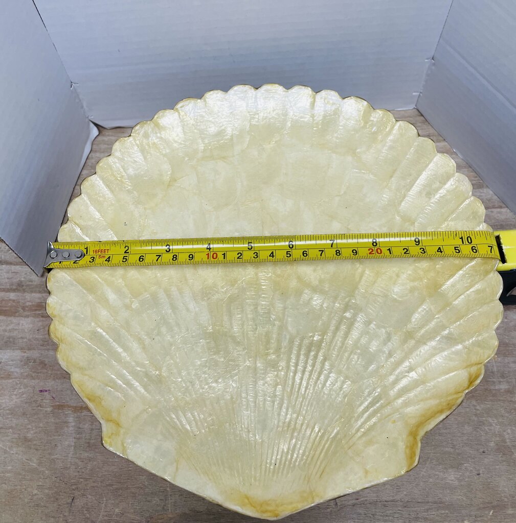 ZODAX SHELL TRAY