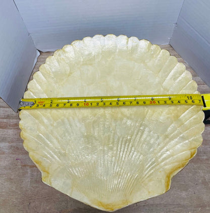 ZODAX SHELL TRAY