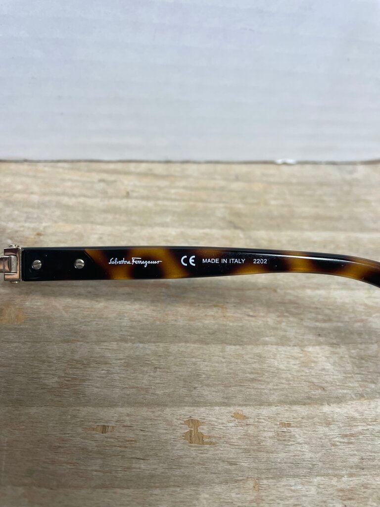 SALVATORE FERRAGAMO SUNGLASSES AND CASE