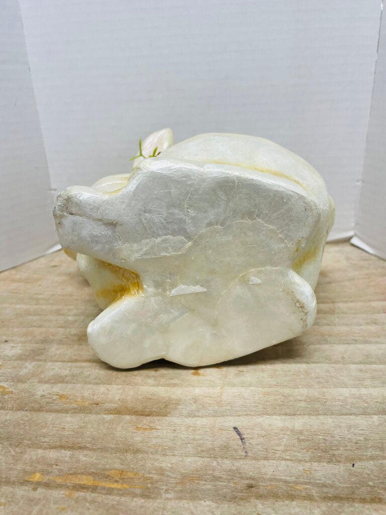 CAPIZ SHELL BUNNY RABBIT TRINKET BOX